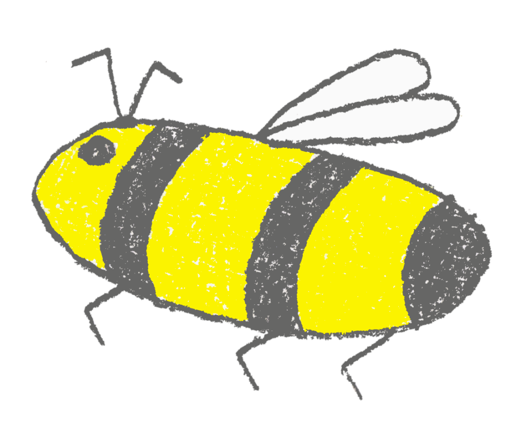An image of a bee